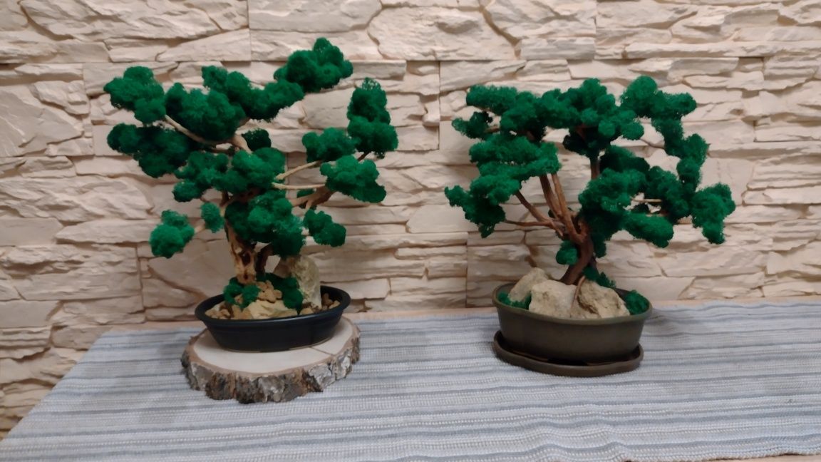 Tanio!BONSAI/DUŻE Drzewko z mchu chrobotka/35x37,hand made