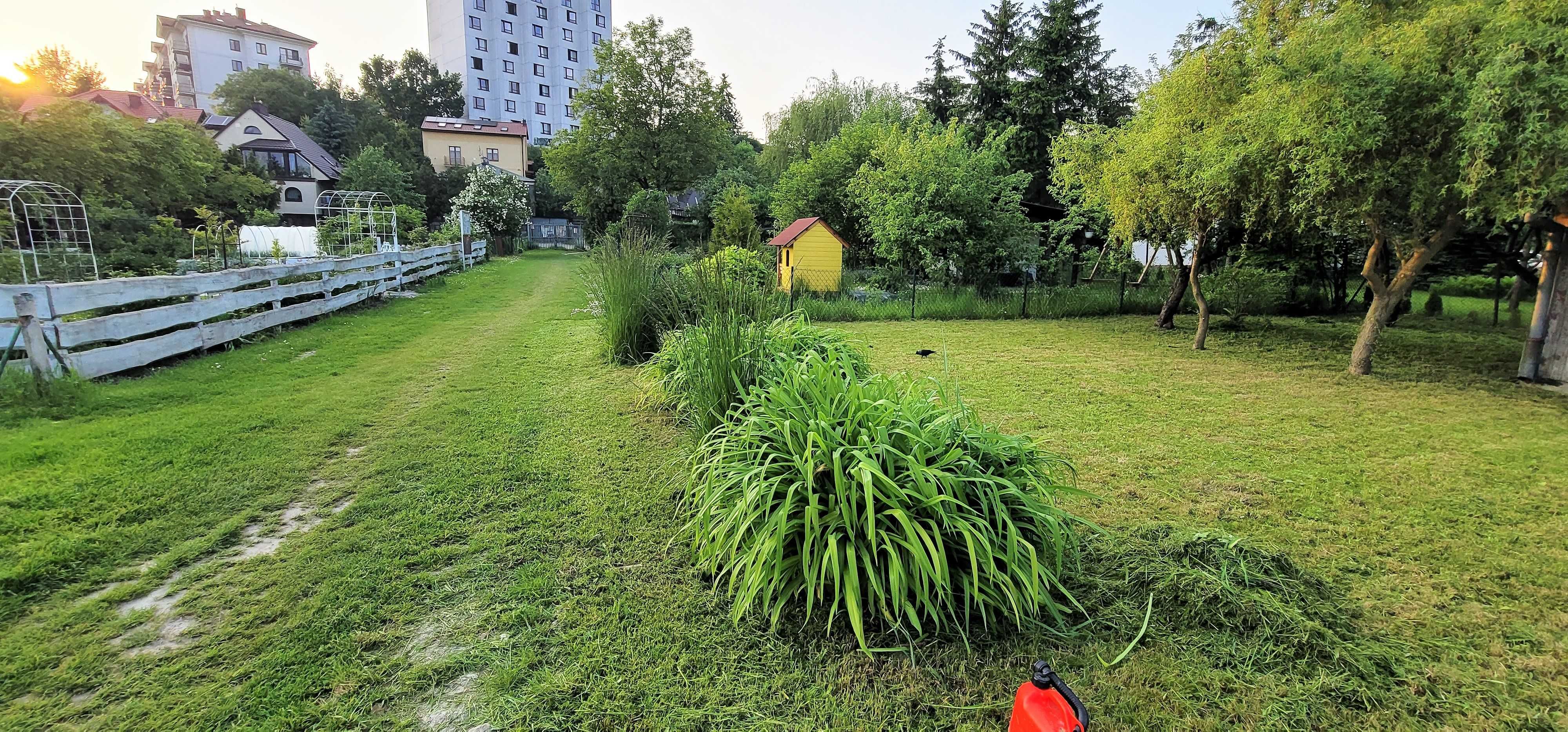 Sprzedam działkę ROD z nasadzeniami i domkiem