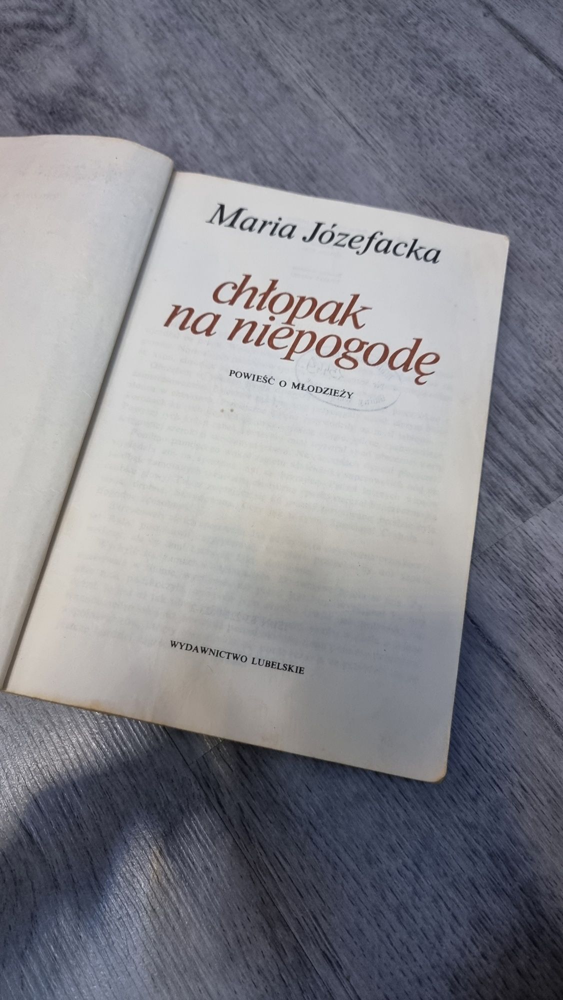 Chłopak na niepogodę Maria Józefacka