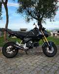 Mota Honda Grom /MSX 125