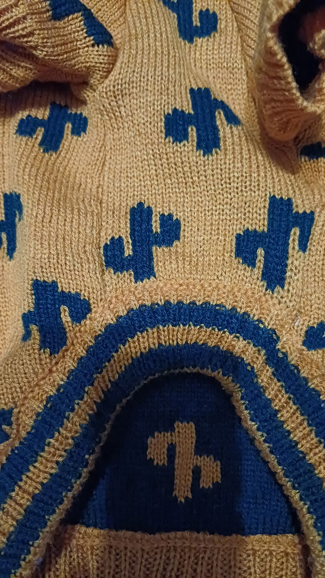 Sweter dla psa kaktusy