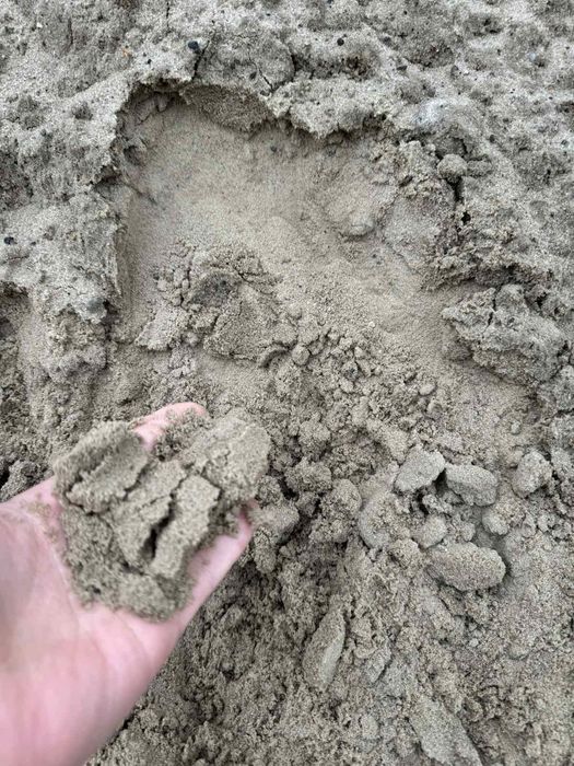 Грунт на підсипку. Для вирівнювання дворів чи засипка в фундамент.