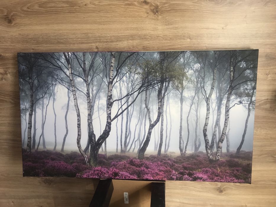 Obraz, obrazy, 90x50, 140x56cm, 75x40cm.