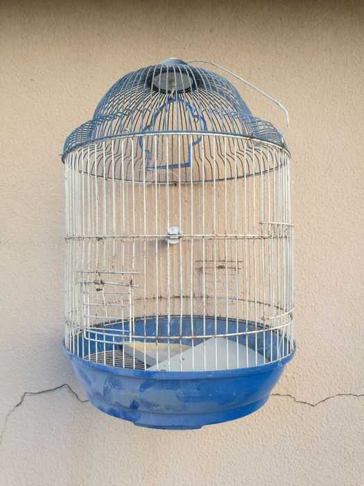 Tenho gaiolas par troca por aves agaporne ring neck caturras ou outras