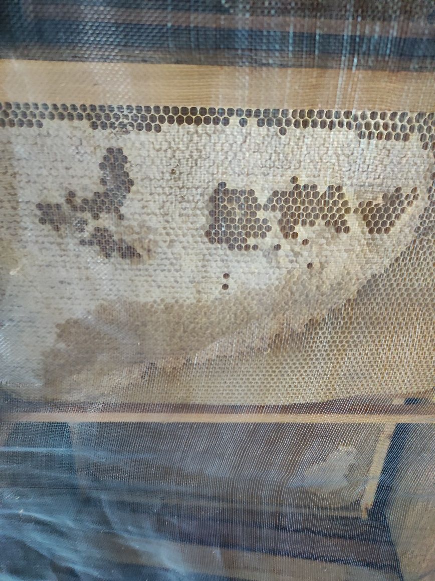 Ящик тара для пчело-пакета