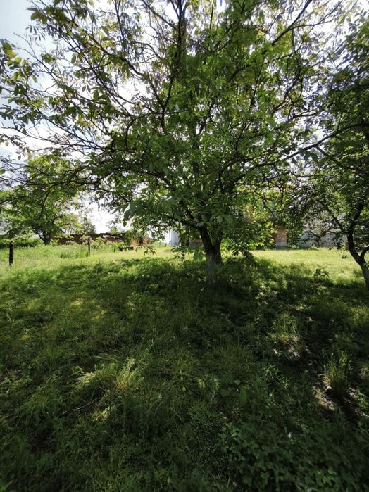 Продаж приватного будинку в селі Дережичі