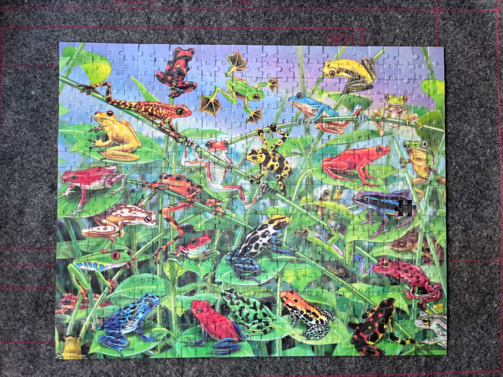 Trefl Visual Echo 3D puzzle 500 elementów brak 1 żaby
