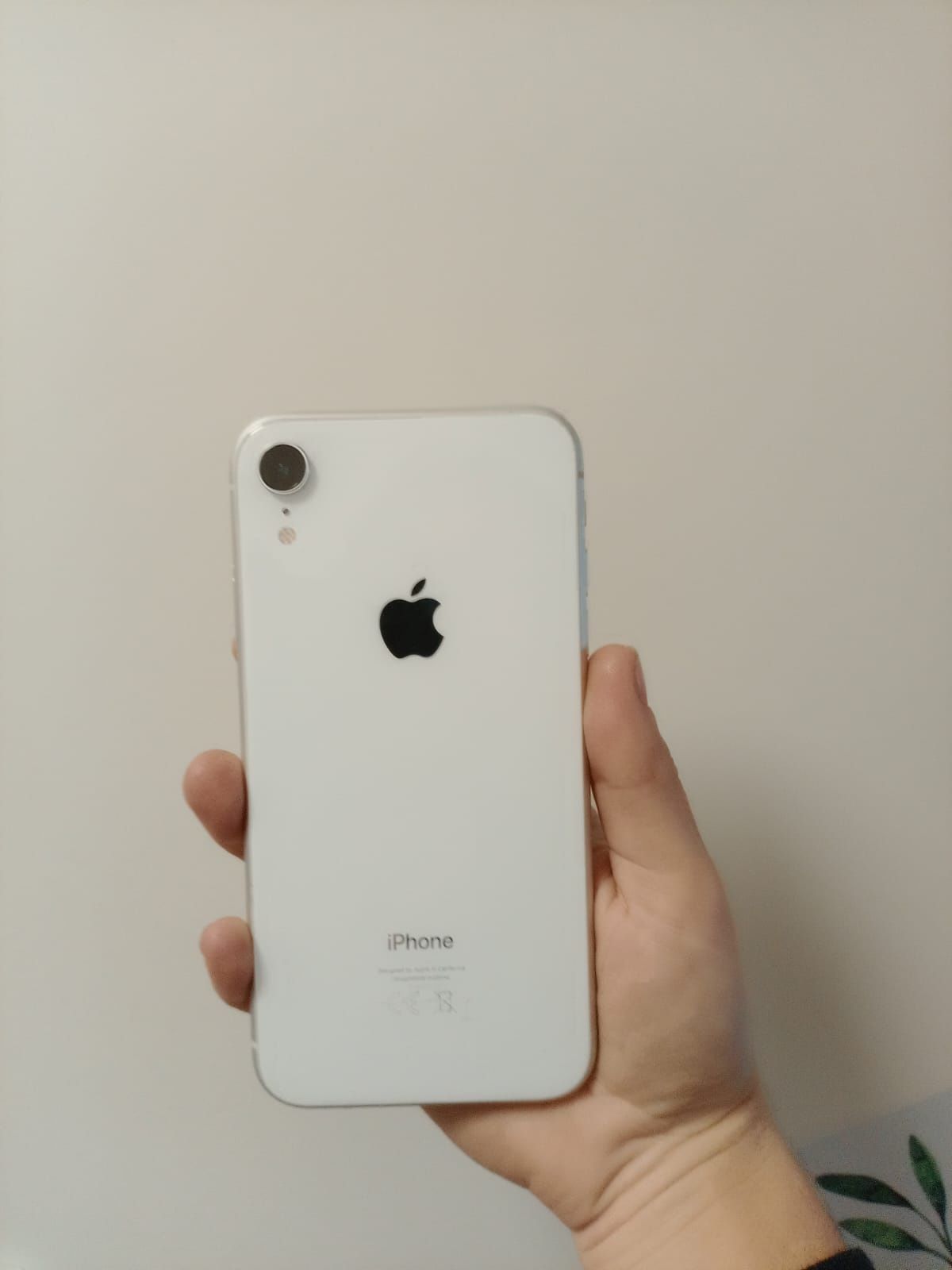 Iphone XR impecavel