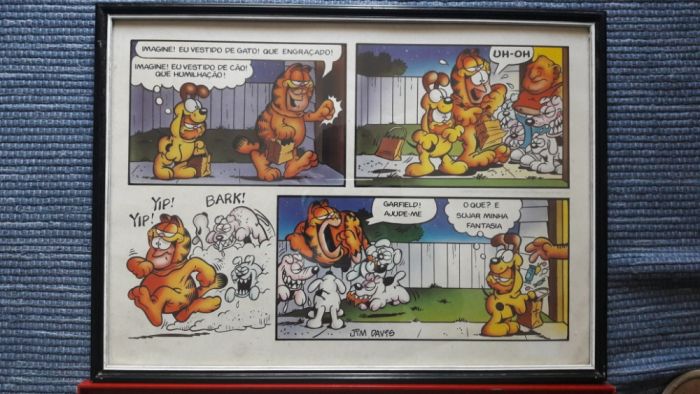 Quadros Garfield