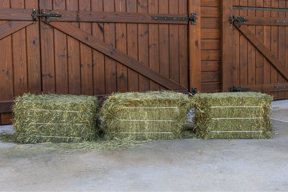 Feno Francês de Alta Qualidade – Fardos de 24 kg extra prensados