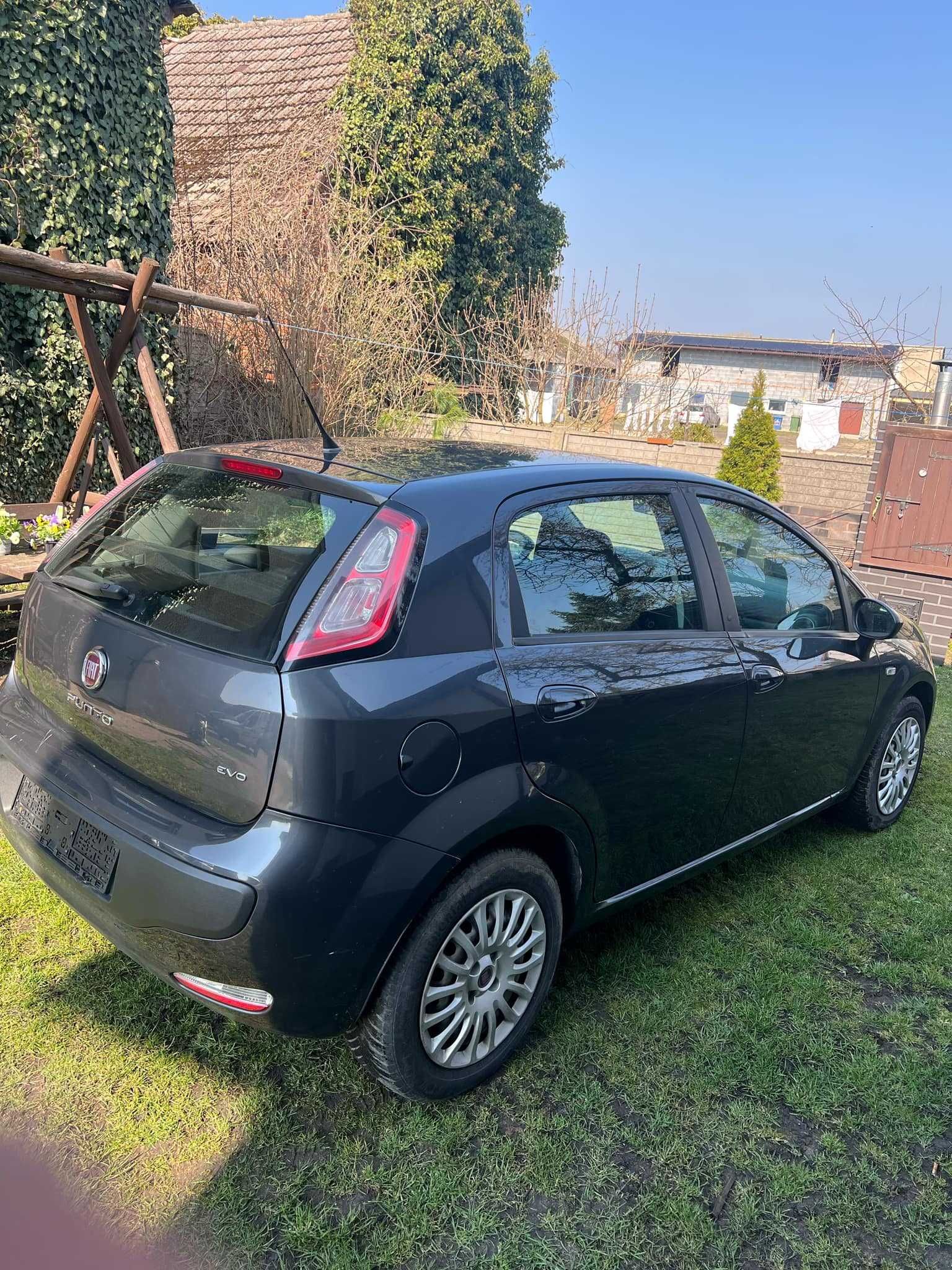 Punto Evo Klima (grande)
