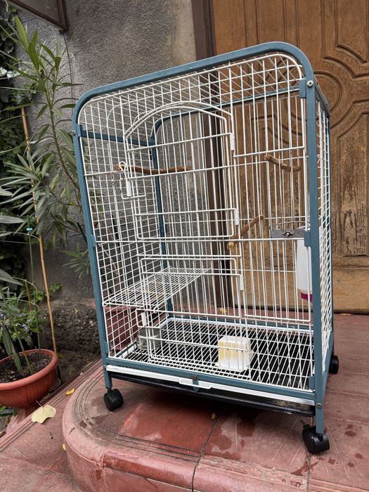 Большая клетка для животных, грызуны и птицы