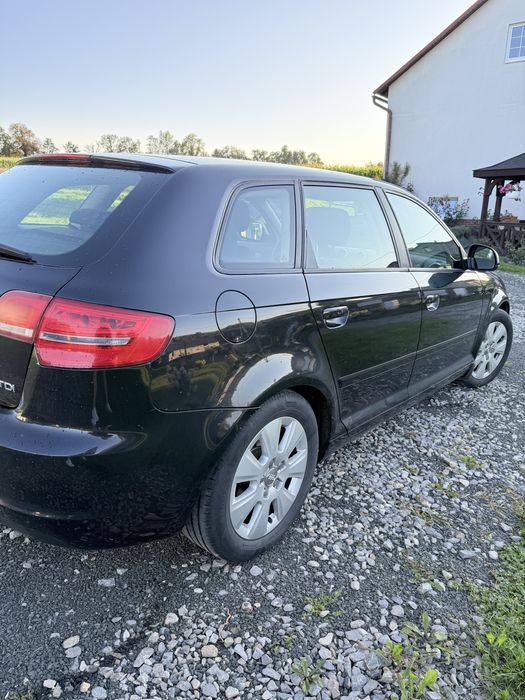 Audi A3 8P 1.9 tdi 105km