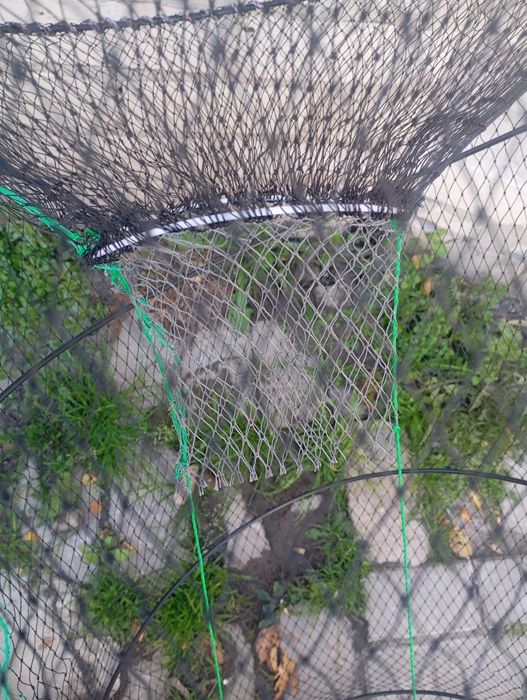 Раколовка бочка 50*110 см, рачница, уловистая, корд.