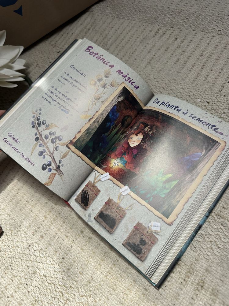 Livro infantil fairy oak