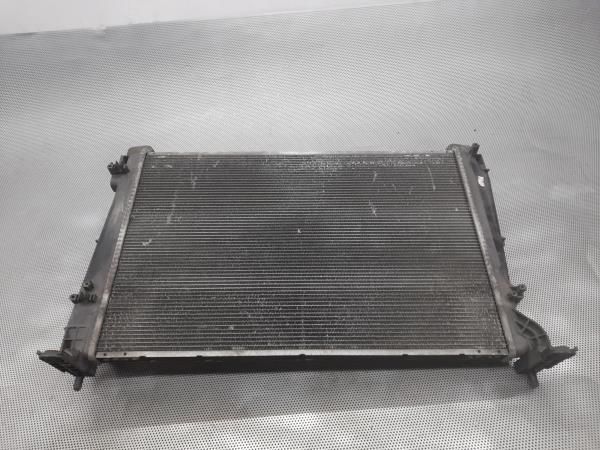 Radiador de água FIAT Punto Evo (199_)
