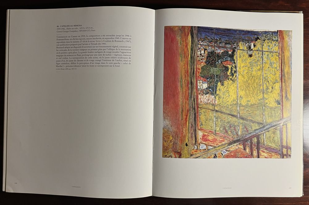 Bonnard - L’oeuvre d’art, un arret du temps (Grande Livro)