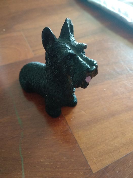 Scottish Terrier