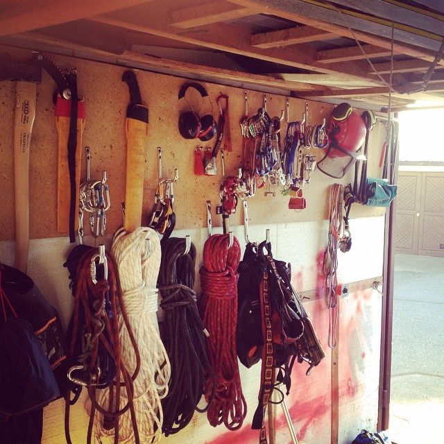 Wycinka drzew /alpinistycznie /z podnośnika