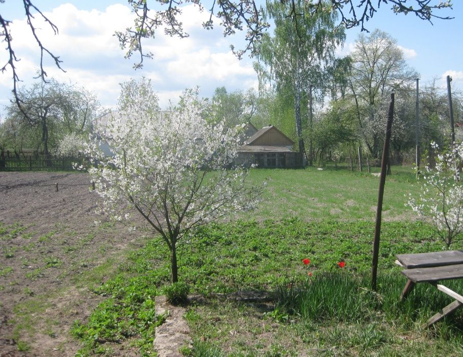 Продається будинок в селі Пристанційне (Чоповичі) Малинський р-н.