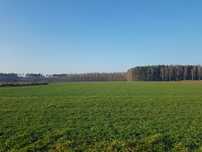 Działka, działki