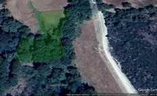 Terreno Pastagem ou Cultivo