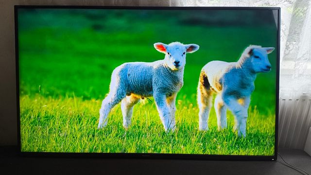 Sharp 65BL2EA – Telewizor 65" 4K Ultra HD Android TV z systemem Harman
