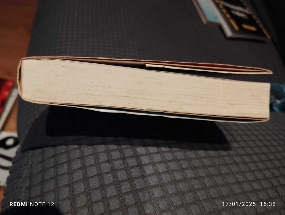 Qualquer Coisa de Bom - Sveva Casati Modignani