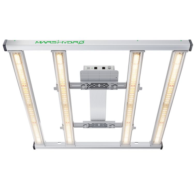 FC-E 3000 LED 300W grow