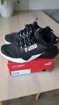 Buty chłopięce PUMA  36
