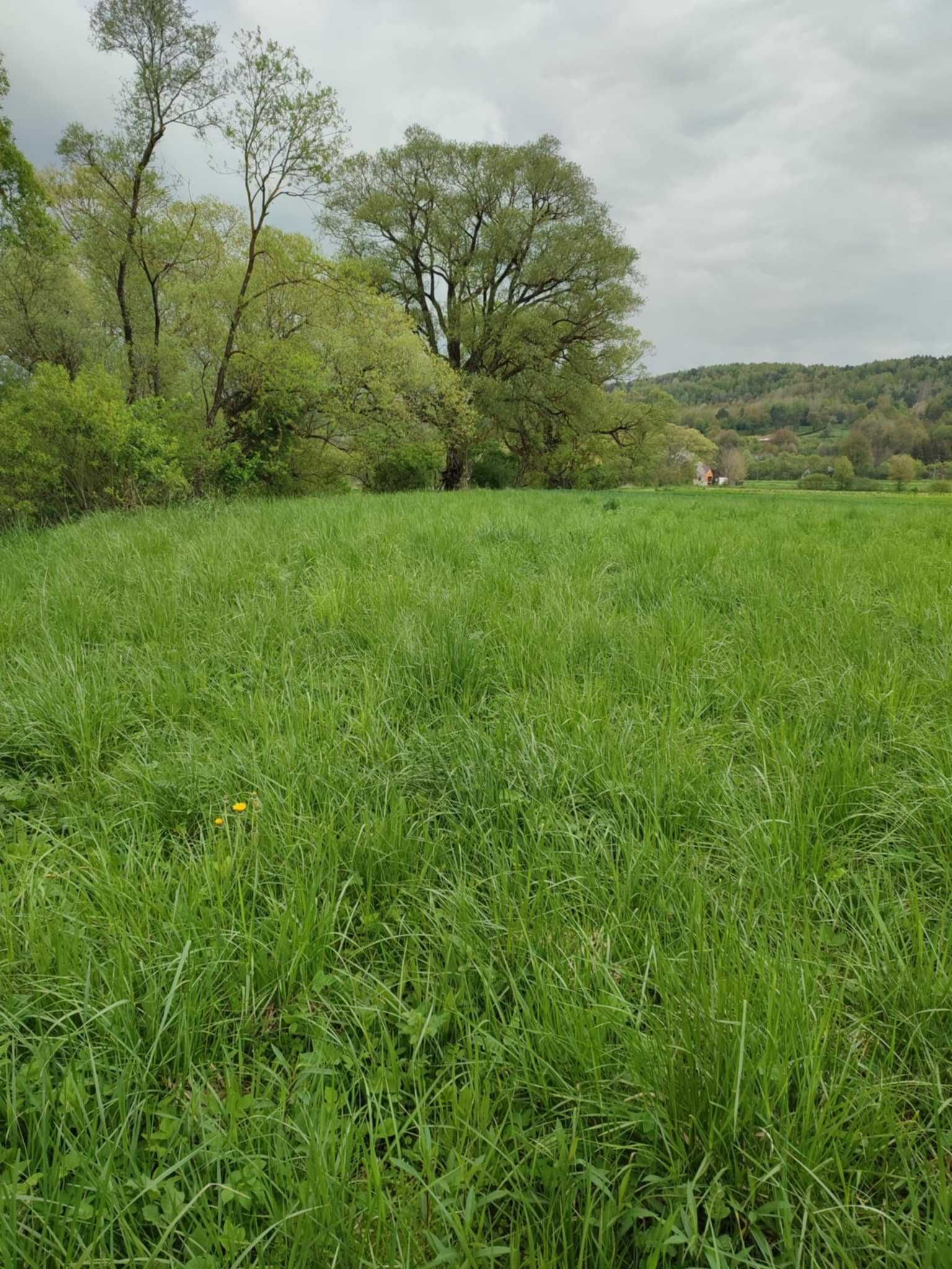 Sprzedam działkę