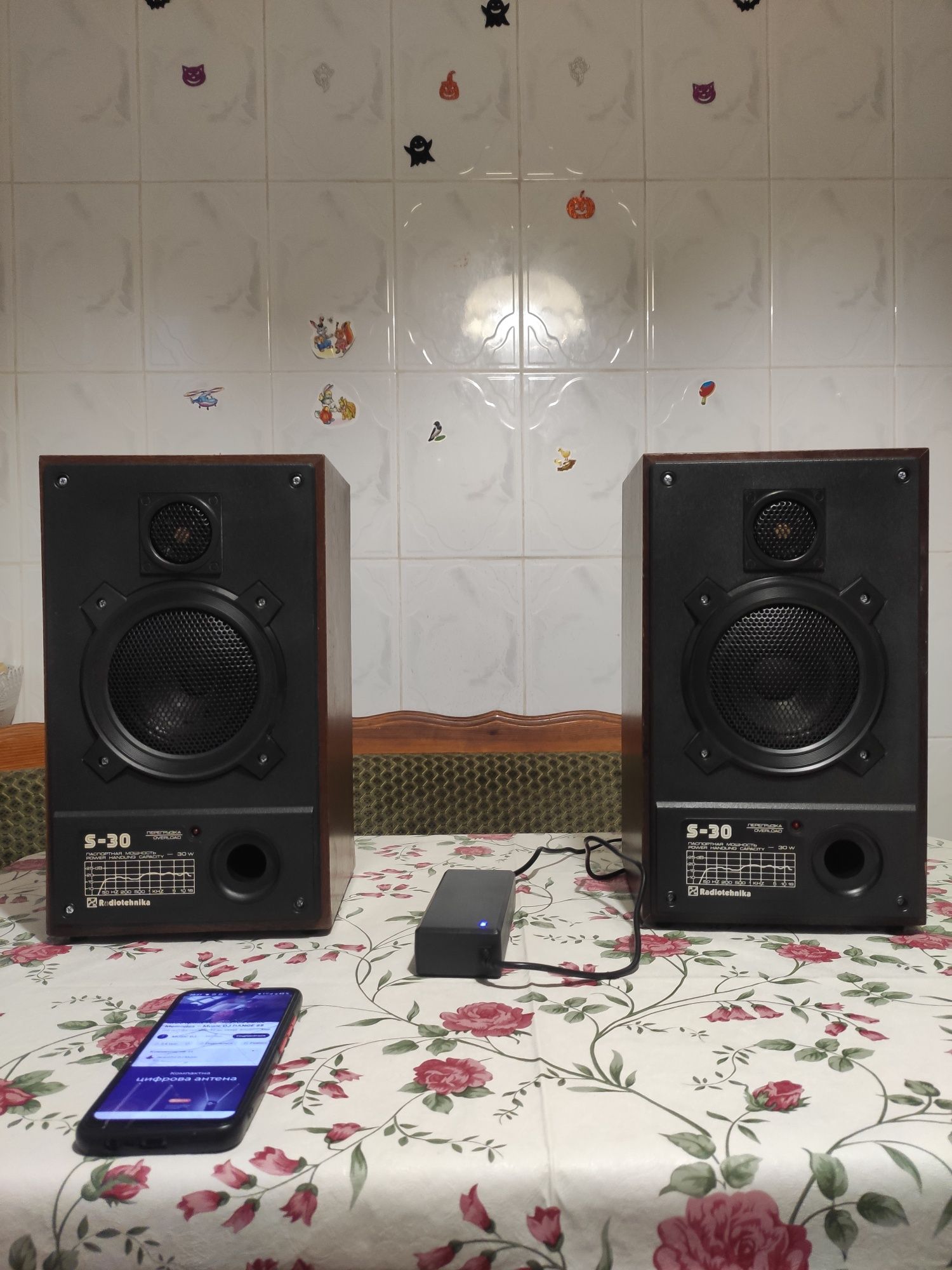 Активная акустика Радиотехника С-30