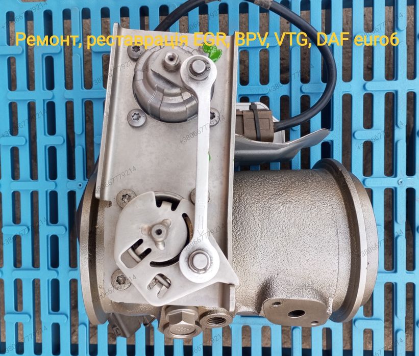 Egr, Bpv, Vtg , DAF euro6  Mx11/13