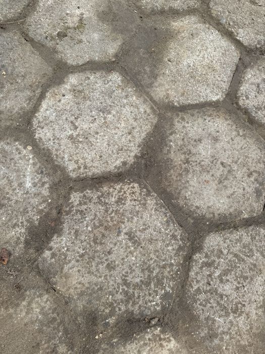 Terlinka trylinka kostna przemysłowa