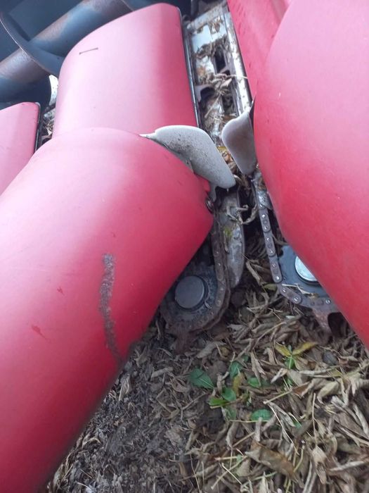 Жатка кукурудзяна RD-800/B