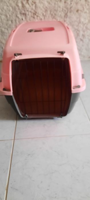 Transporte pet até 10k