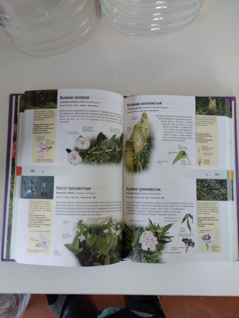 Продам иллюстрированный справочник про цветы.