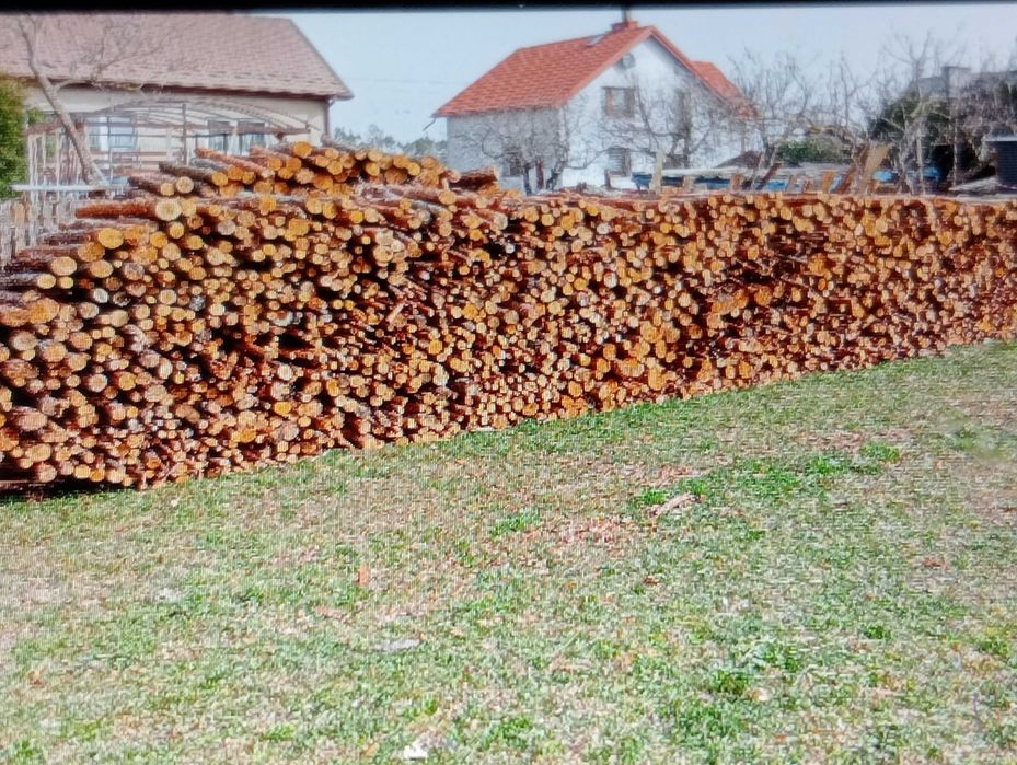 Drewno opalowe sosna