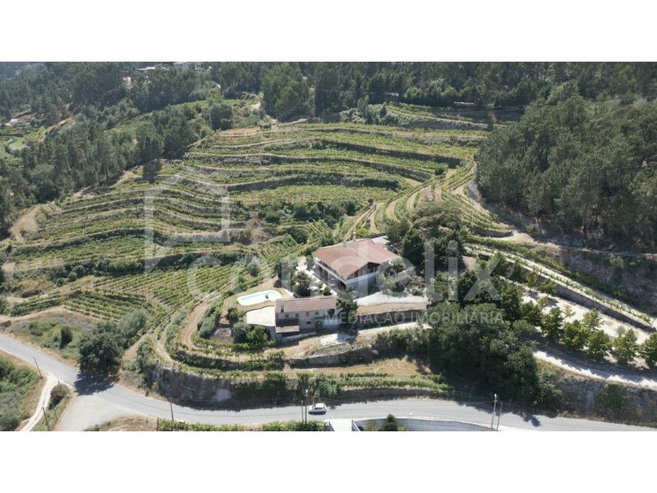 Quinta - Herdade Amarante