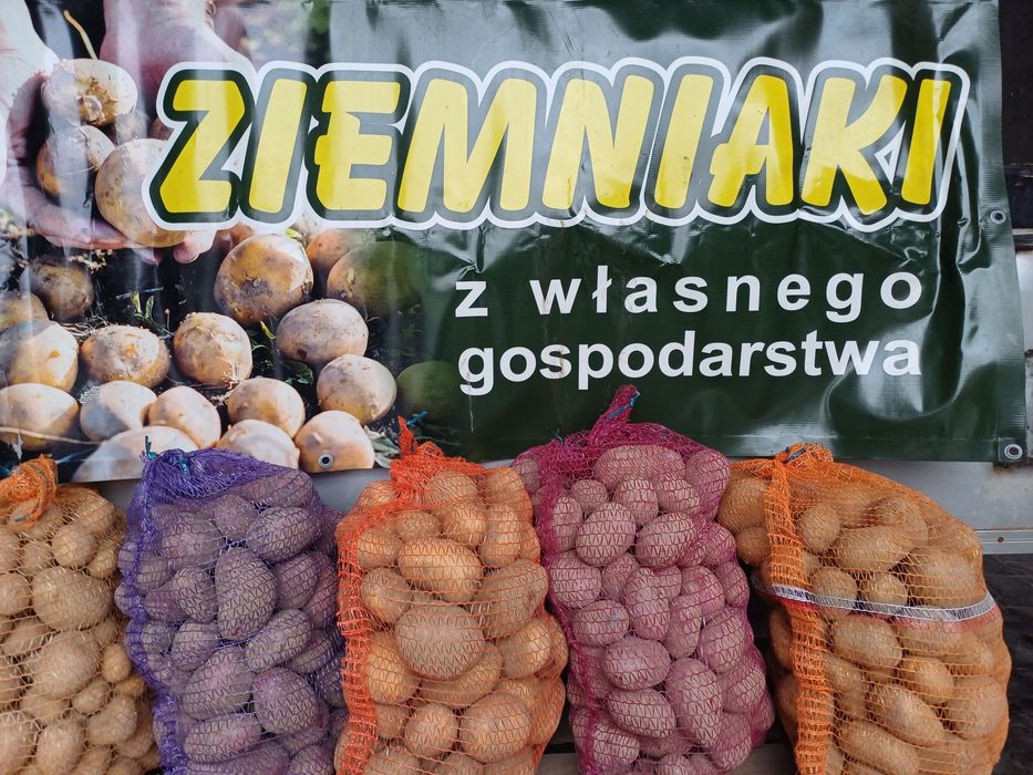 Ziemniaki jadalne ziemniaki paszowe