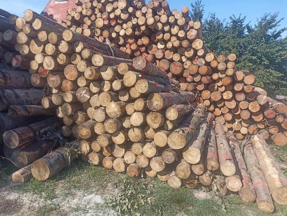 Drewno Opałowe Kominkowe  Buk jesion sezonowane układane !