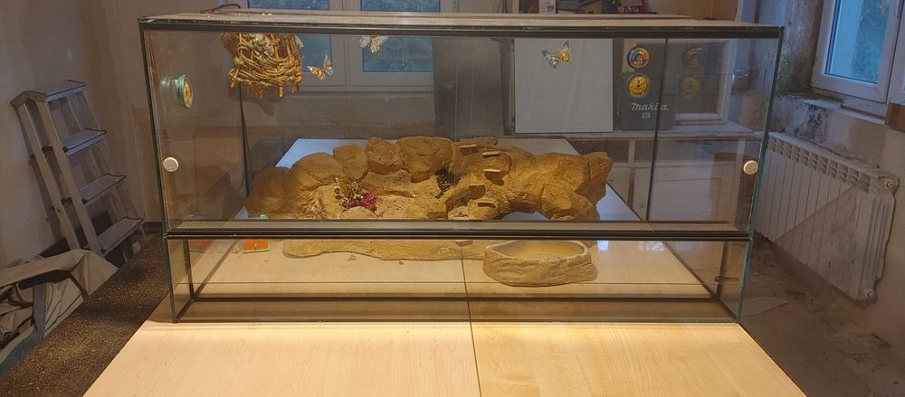 Terrarium Agama Gekon wąż żółw ~ 100x60x60