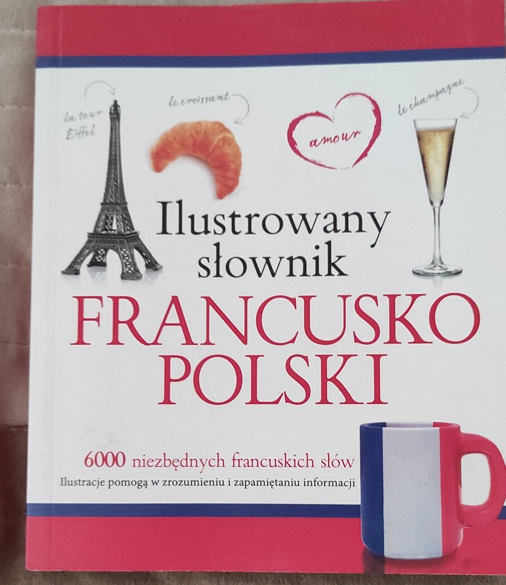 Ilustrowany słownik francusko-polski.