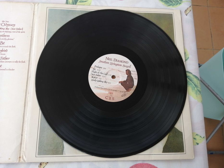 Neil Diamond, Jonathan Livingston Seagull