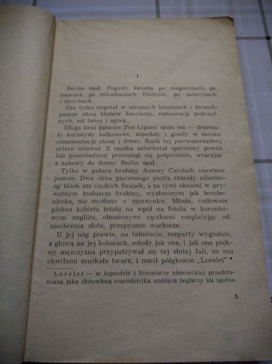 Książka: Między ustami a brzegiem pucharu. Autorka: Maria Rodziewiczów