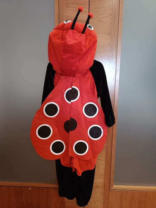 Fato carnaval Joaninha