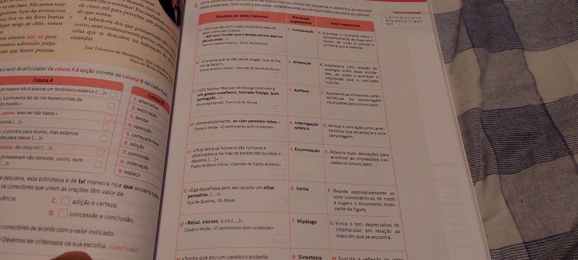 Livros escolares atividades 10.ano e 11.ano