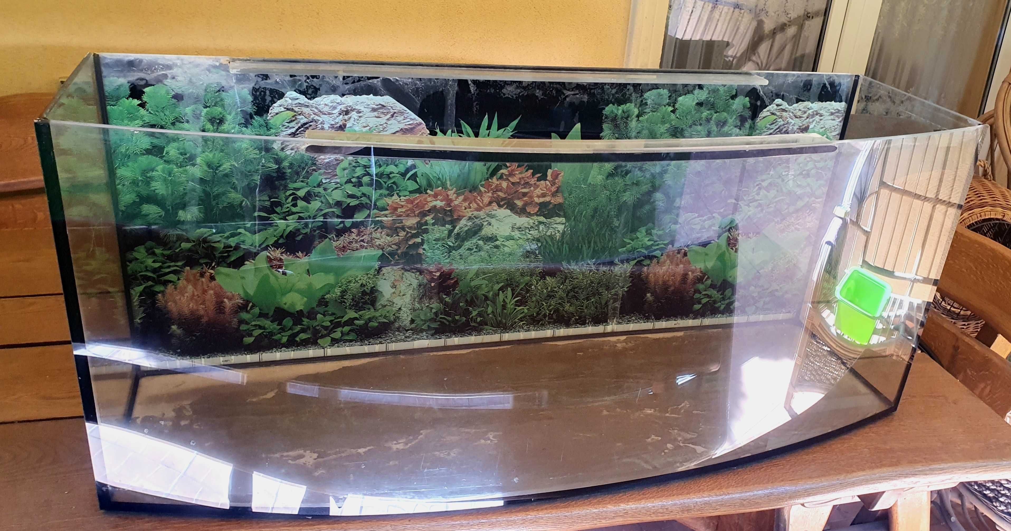 Akwarium terrarium profilowane 120 cm x 40 cm x 50 cm szkło typu float