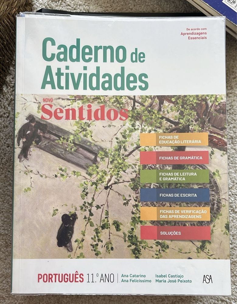 Caderno de atividades 10 ano plastificados