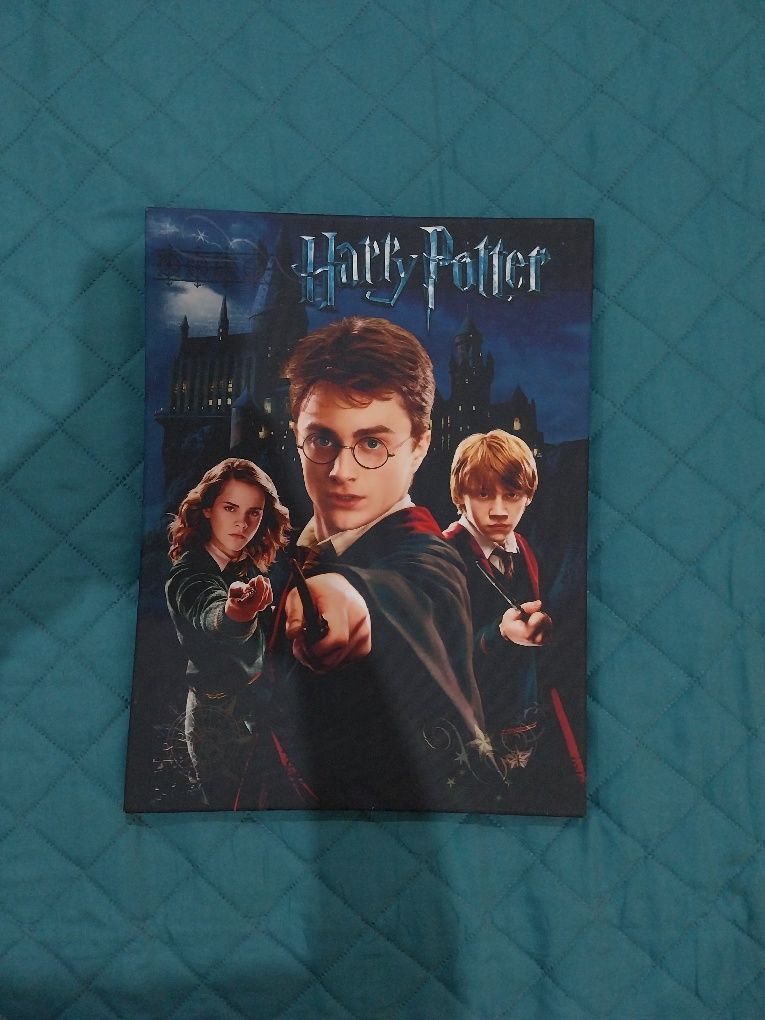 Quadro Harry Potter